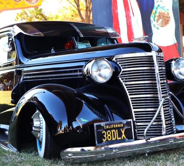 Live Your Life Photography